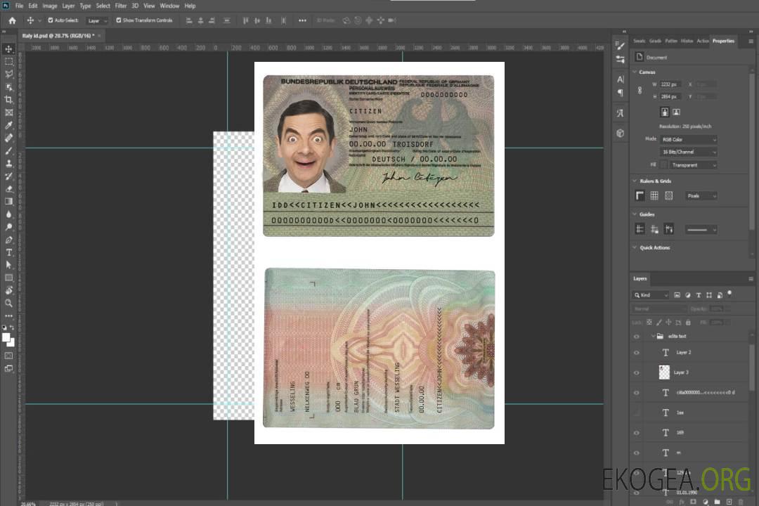 Modèle d'identification d'Allemagne au format PSD, entièrement modifiable (2010 – 2020) template
